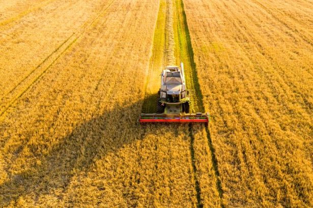 Carlos Eduardo Moraes Nunes