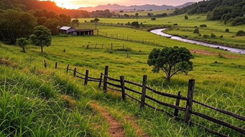 Sustentabilidade e rentabilidade caminham juntas na compensação de carbono, explica Aldo Vendramin.