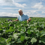 Aldo Vendramin evidencia como a compensação de carbono abre novas oportunidades no agronegócio brasileiro.