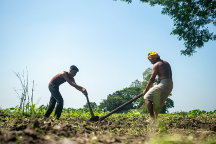 A sustentabilidade na agropecuária vista por Hebron Costa Cruz de Oliveira como um investimento estratégico no campo.