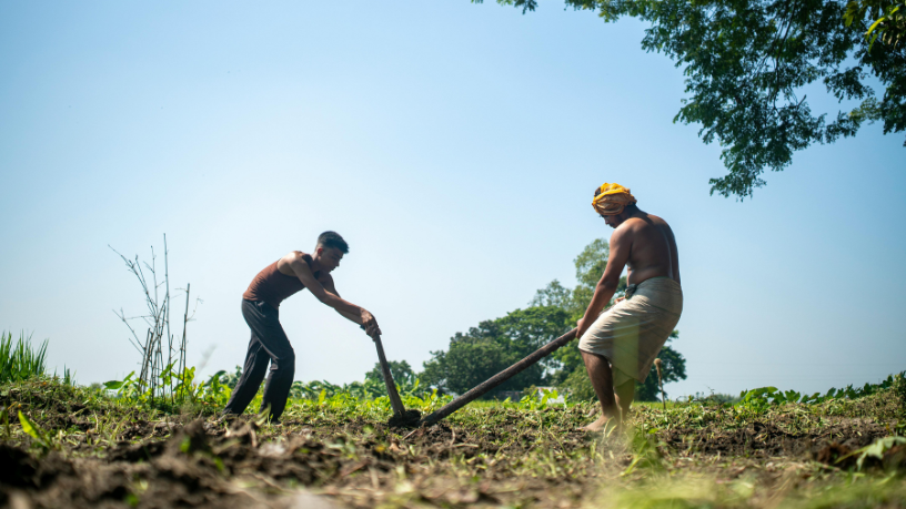 A sustentabilidade na agropecuária vista por Hebron Costa Cruz de Oliveira como um investimento estratégico no campo.