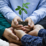 Os valores do esporte como base de respeito e ética na formação social com Alfredo Moreira Filho.