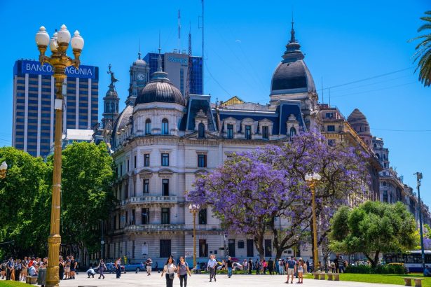 Vista urbana da Plaza de Mayo, em Buenos Aires, com edifícios históricos e árvores floridas.